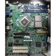 Материнская плата Intel Server Board S3200SH s.775 (Ставрополь)