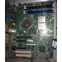 Материнская плата Intel Server Board S3200SH s.775 (Ставрополь)