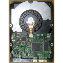 HDD Sun 500G 500Gb в Ставрополе, FRU 540-7889-01 в Ставрополе, BASE 390-0383-04 в Ставрополе, AssyID 0069FMT-1010 в Ставрополе, HUA7250SBSUN500G (Ставрополь)