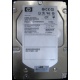 HP 454228-001 146Gb 15k SAS HDD (Ставрополь)