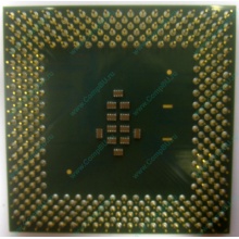 Celeron 1000A в Ставрополе, процессор Intel Celeron 1000 A SL5ZF (1GHz /256kb /100MHz /1.475V) s.370 (Ставрополь)