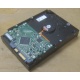 Жесткий диск HP 250Gb 7200 rpm 432337-001/ 399699-001 / 397377-004 (Ставрополь)