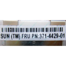 Серверная память SUN (FRU PN 371-4429-01) 4096Mb (4Gb) DDR3 ECC в Ставрополе, память для сервера SUN FRU P/N 371-4429-01 (Ставрополь)