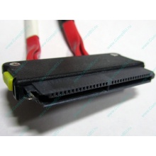 SATA-кабель для корзины HDD HP 451782-001 459190-001 для HP ML310 G5 (Ставрополь)