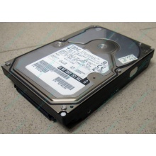 Жесткий диск 18.2Gb IBM Ultrastar DDYS-T18350 Ultra3 SCSI (Ставрополь)