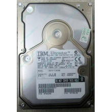 Жесткий диск 18.2Gb IBM Ultrastar DDYS-T18350 Ultra3 SCSI (Ставрополь)