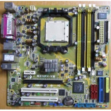 Материнская плата Asus M2NPV-VM socket AM2 (без задней планки-заглушки) - Ставрополь