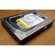Жесткий диск 160Gb WD WD1602ABKS SATA (Ставрополь)