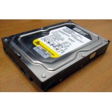 Жесткий диск 160Gb WD WD1602ABKS SATA (Ставрополь)