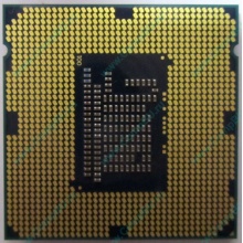 Процессор Intel Celeron G1620 (2x2.7GHz /L3 2048kb) SR10L s.1155 (Ставрополь)