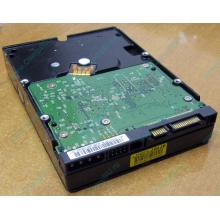 Б/У жёсткий диск 400Gb WD WD4000YR Caviar RE2 7200 rpm SATA  (Ставрополь)