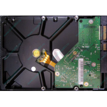 Б/У жёсткий диск 1Tb Western Digital WD10EVVS Green (WD AV-GP 1000 GB) 5400 rpm SATA (Ставрополь)