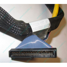 Кабель SCSI HP 166298-037 для HP ML370 G4 (Ставрополь)