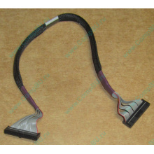 FDD-кабель HP 271946-006 для ML370 (Ставрополь)