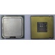 Процессор Intel Celeron D 336 (2.8GHz /256kb /533MHz) SL98W s.775 (Ставрополь)
