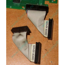 6017B0045701 Шлейф 24 pin для Intel C74974-401 T0043401-B01 корпуса SR2400 (Ставрополь)