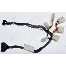 59P4789 FRU 59P4792 в Ставрополе, кабель IBM 59P4789 FRU 59P4792 для серверов X225 (Ставрополь)
