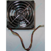 Вентилятор EFB0812HHE IBM 59P23B1 FRU 59P2572 (Ставрополь)