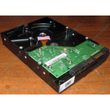 Жесткий диск 500Gb WD WD5000AAKX HP 634605-003 613208-001 7.2k SATA (Ставрополь)