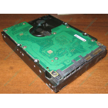 Жесткий диск 300Gb 15k Dell 9CH066-050 6G SAS (Seagate Cheetach ST3300656SS 15K.6) - Ставрополь