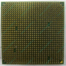 Процессор AMD Sempron 3000+ (1.6GHz) SDA3000IAA3CN s.AM2 (Ставрополь)