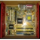 Материнская плата Asus P5L-VM 1394 s.775 (Ставрополь)